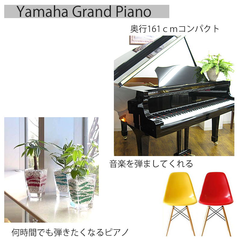 YAMAHA ���}�n�@G1B